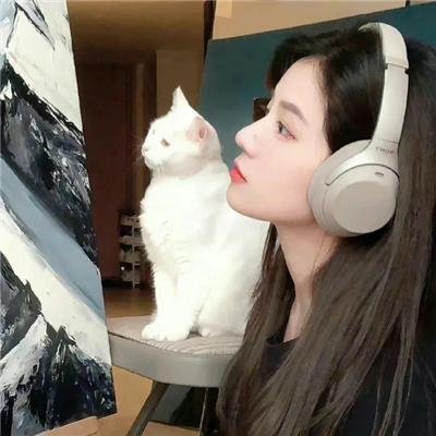 禁域之恋